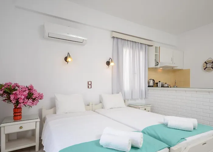 アパート Lygdamis Downtown 3 Star Naxos City